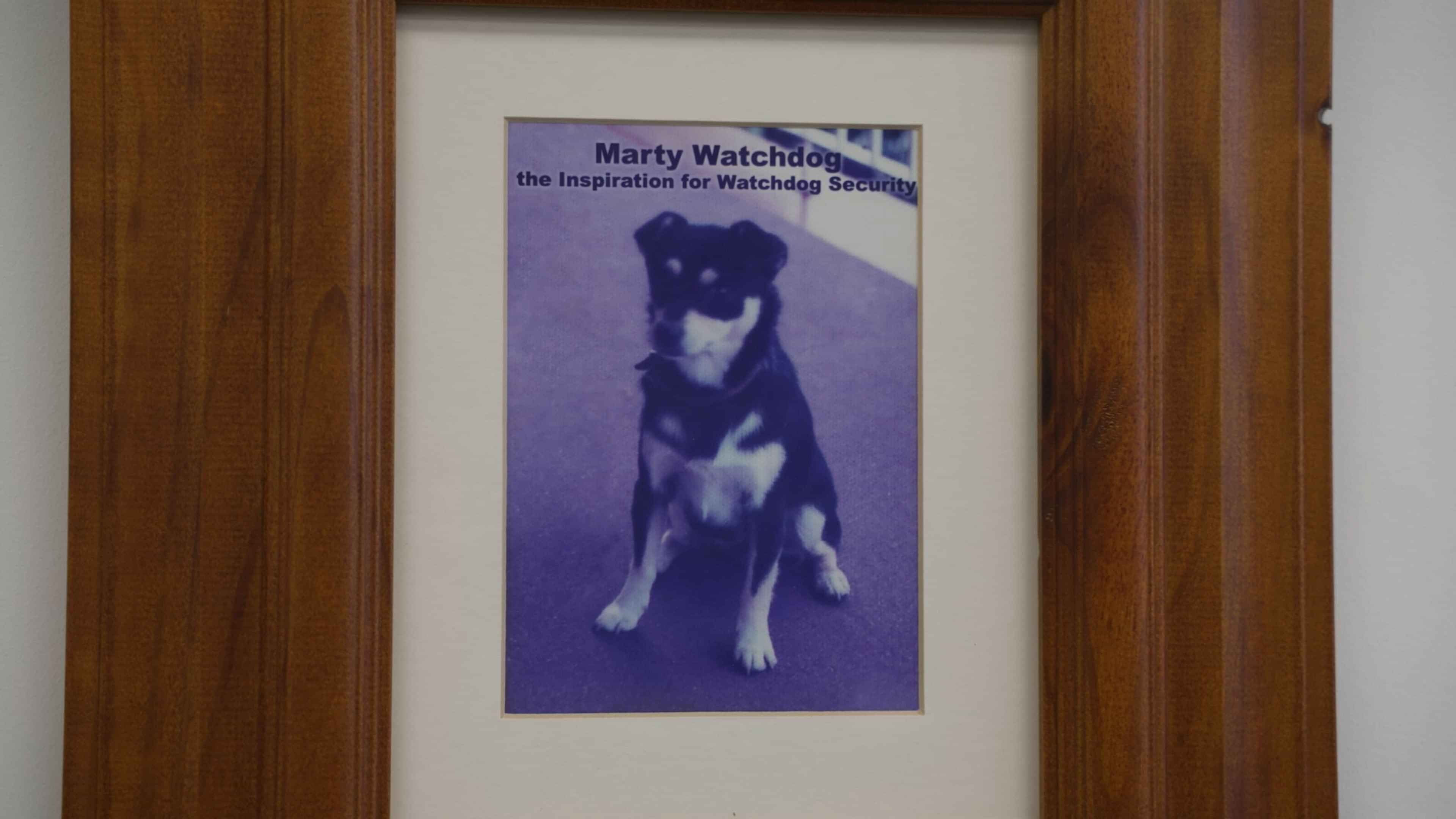 Marty Watchdog - the inspiration for Watchdog Security.